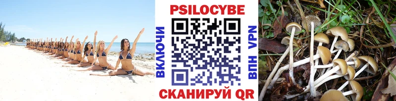 shop клад  Оханск  Галлюциногенные грибы MAGIC MUSHROOMS  купить наркотик 